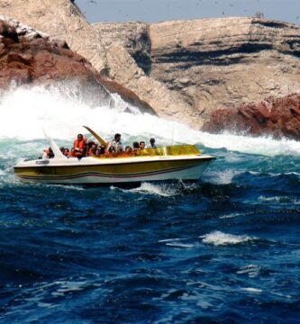 Full Day Paracas Ica Huacachina