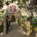 Vive una aventura diferente en Eco truly park - aucallama